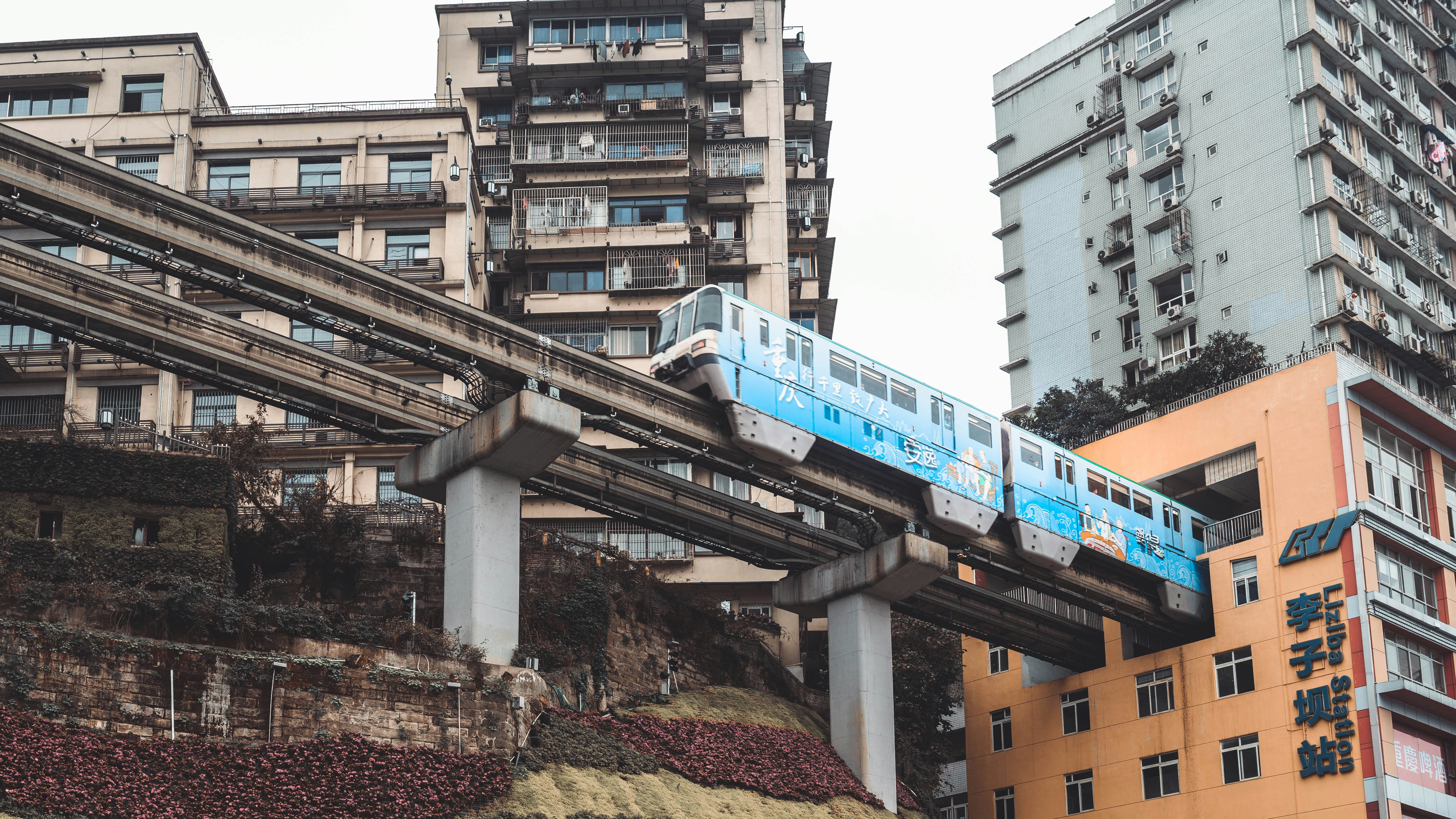 China, dia 8